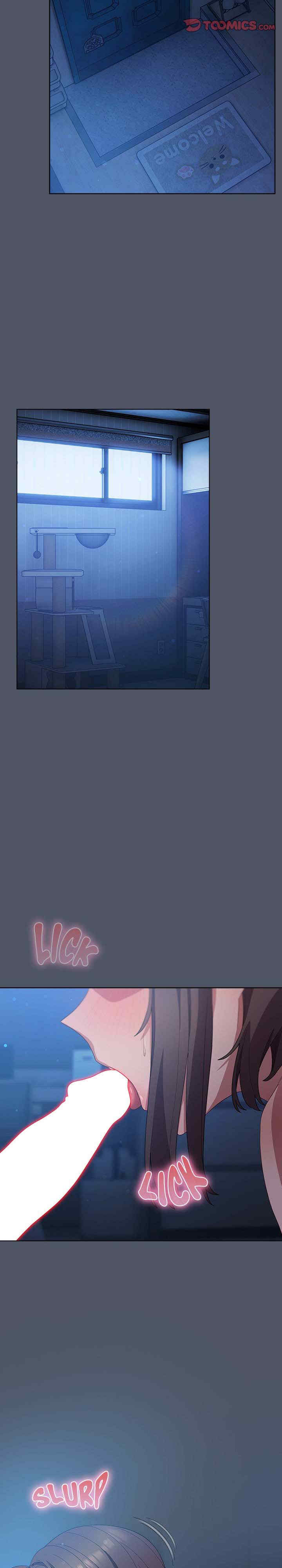 猫猫牵红线/喵来的恋爱