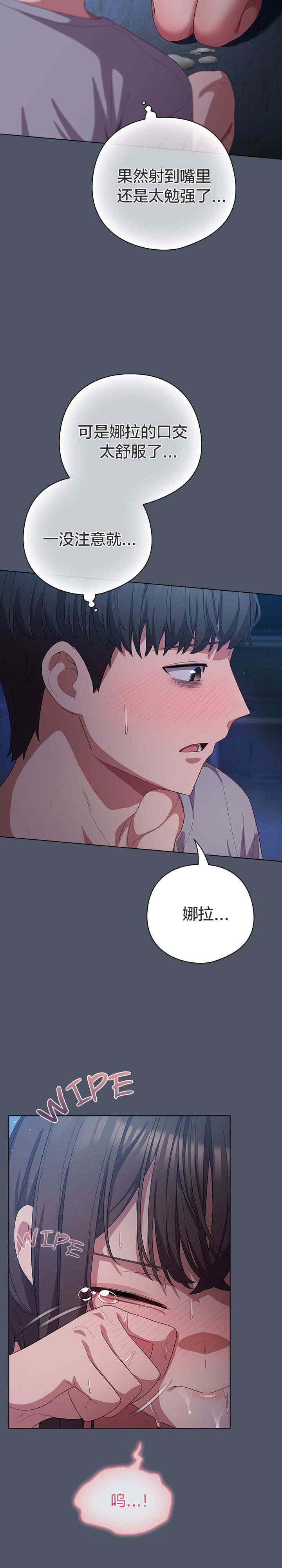 猫猫牵红线/喵来的恋爱