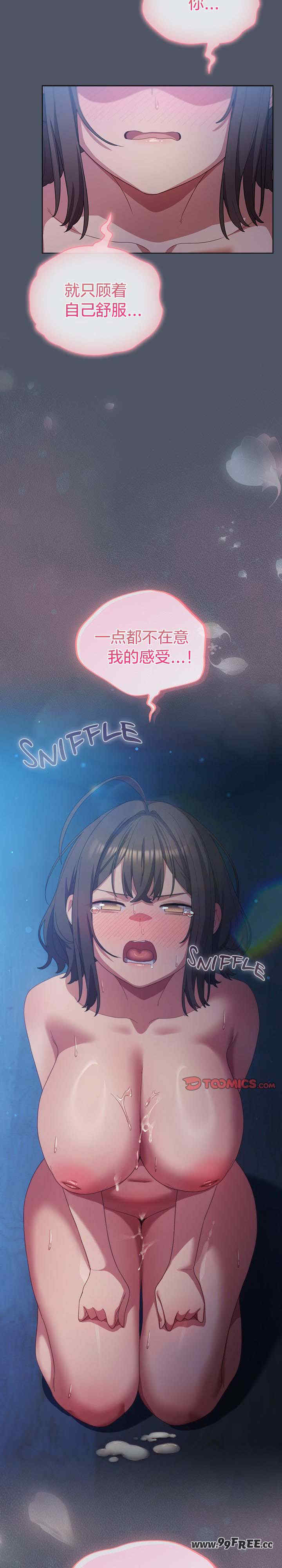 猫猫牵红线/喵来的恋爱