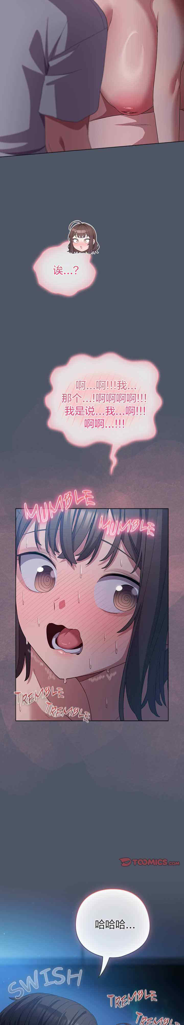 猫猫牵红线/喵来的恋爱