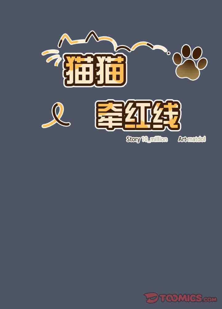 猫猫牵红线/喵来的恋爱