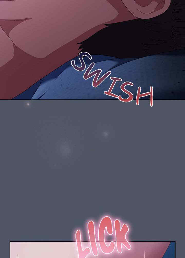 猫猫牵红线/喵来的恋爱