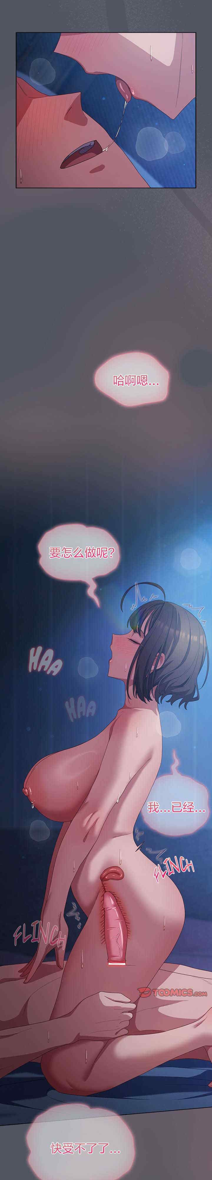 猫猫牵红线/喵来的恋爱