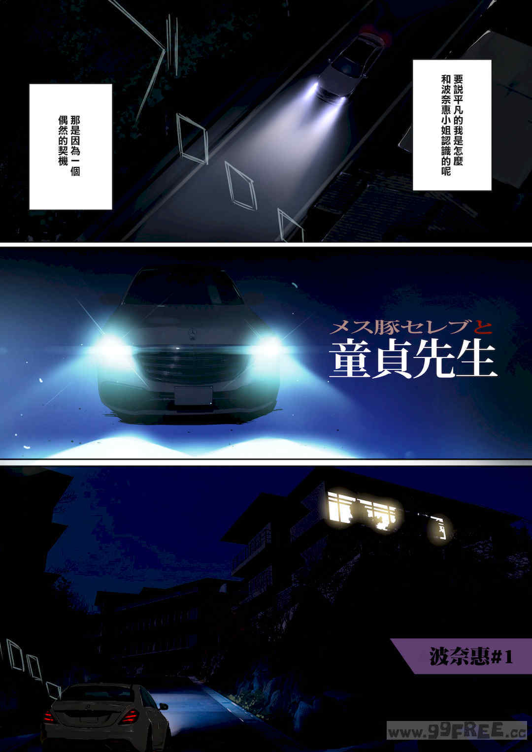 [ナイロン100% (ナイロン)] [Nylon]メス豚セレブと童貞先生