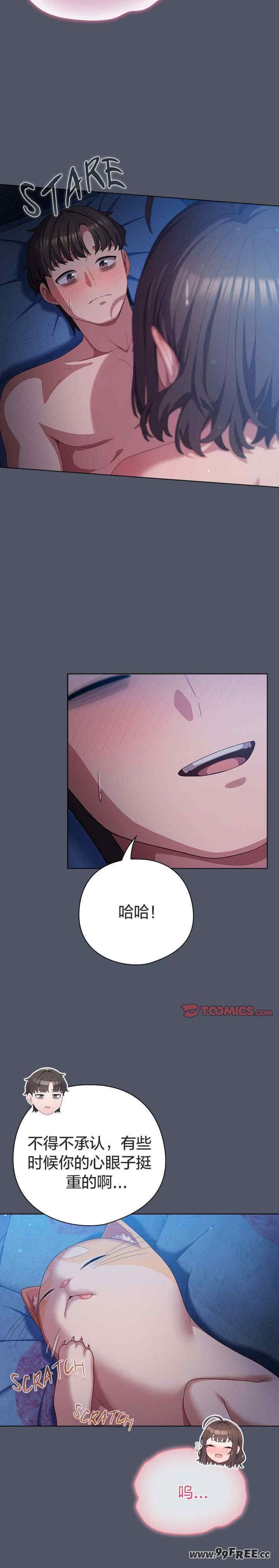 猫猫牵红线/喵来的恋爱