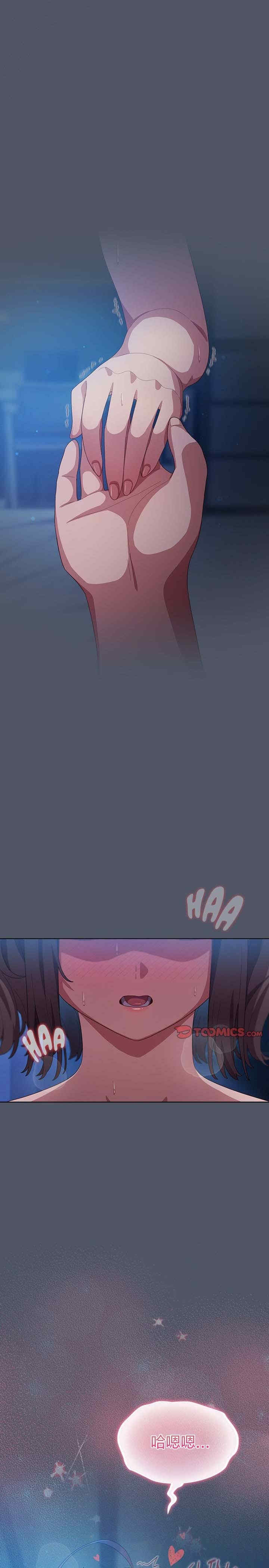 猫猫牵红线/喵来的恋爱