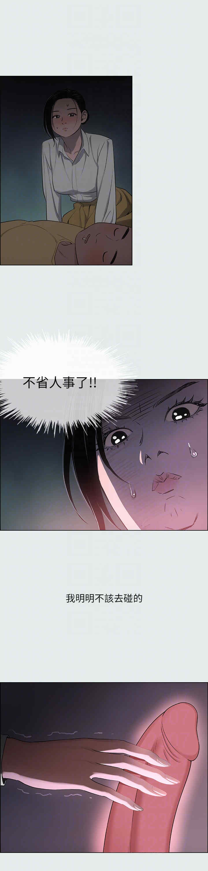 纵夏夜之梦(无码版)