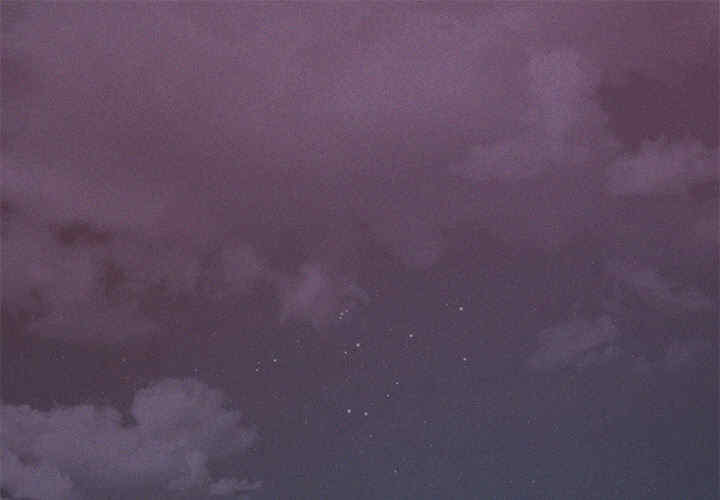 诱人心动的她/想知道你的一切