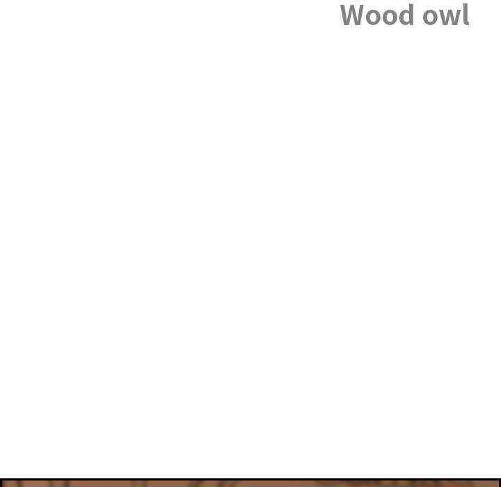 最强男人/天降奇迹