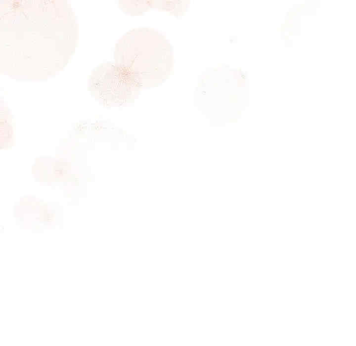 老大!请把女儿交给我!