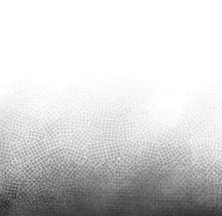 傻瓜病毒/傻傻病毒