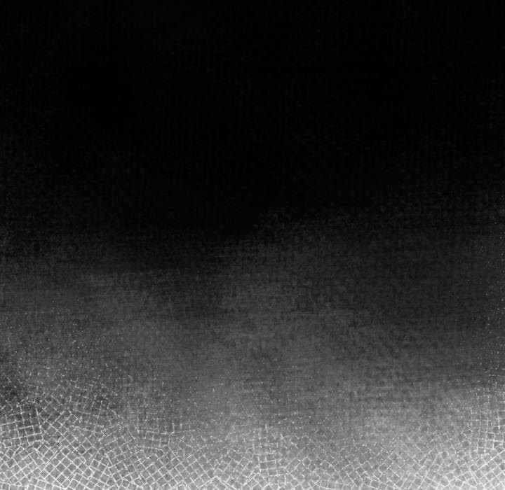 傻瓜病毒/傻傻病毒