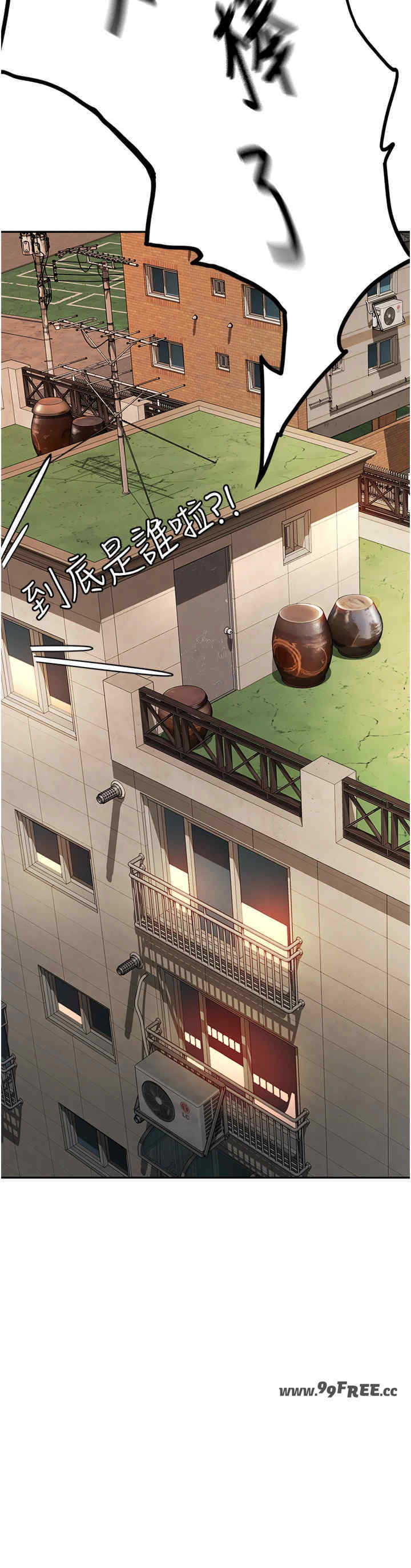 顶加套房的春天