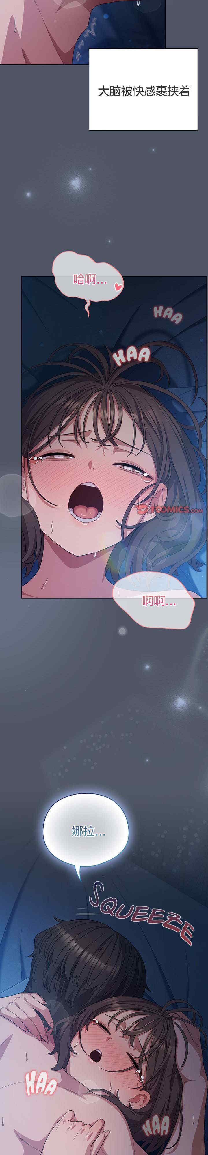 猫猫牵红线/喵来的恋爱