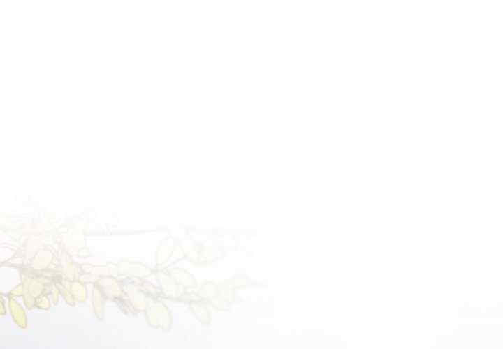 缺德邻居难相处