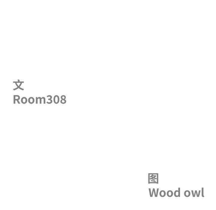 最强男人/天降奇迹