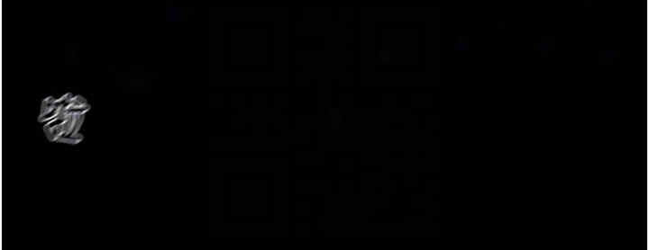 掠夺行动/抢夺的滋味