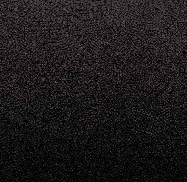 傻瓜病毒/傻傻病毒