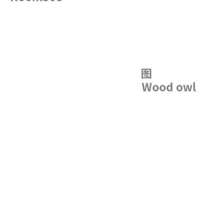 最强男人/天降奇迹