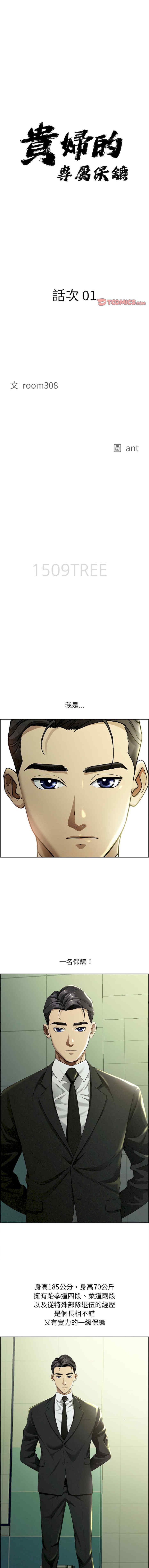 贵妇的专属保镖