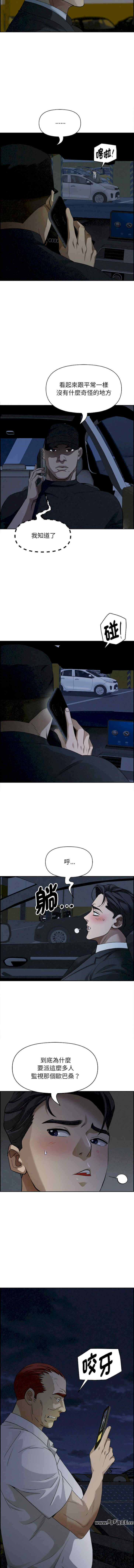 贵妇的专属保镖