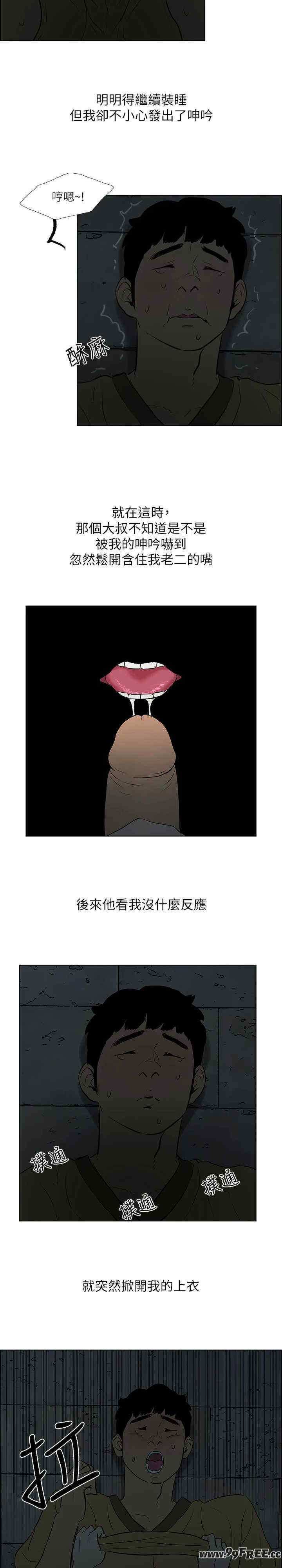 纵夏夜之梦(无码版)