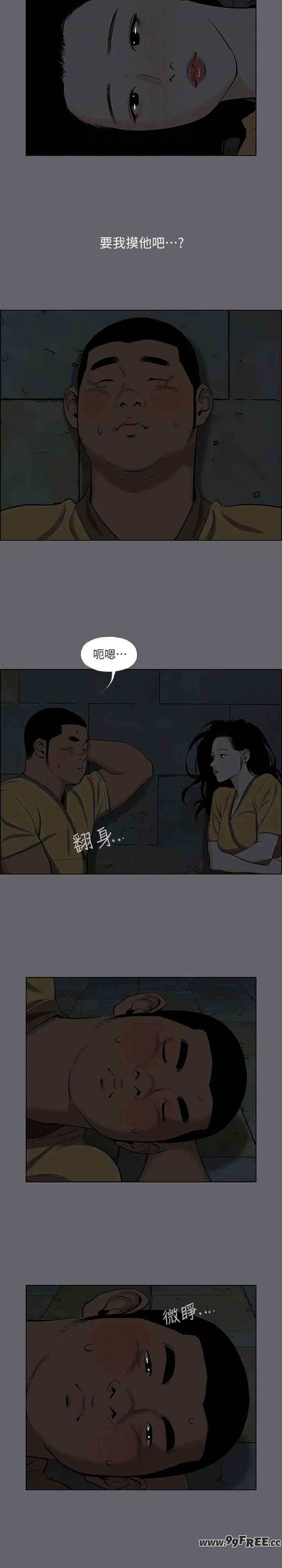 纵夏夜之梦(无码版)