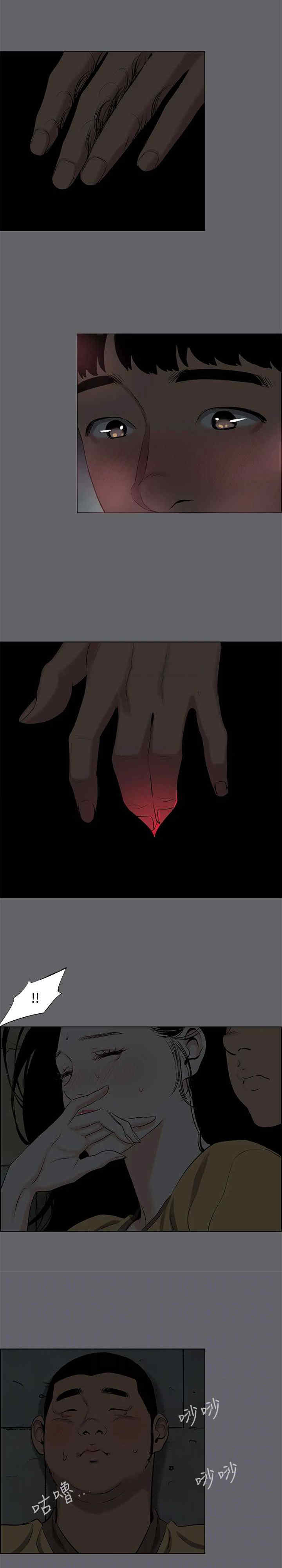 纵夏夜之梦(无码版)