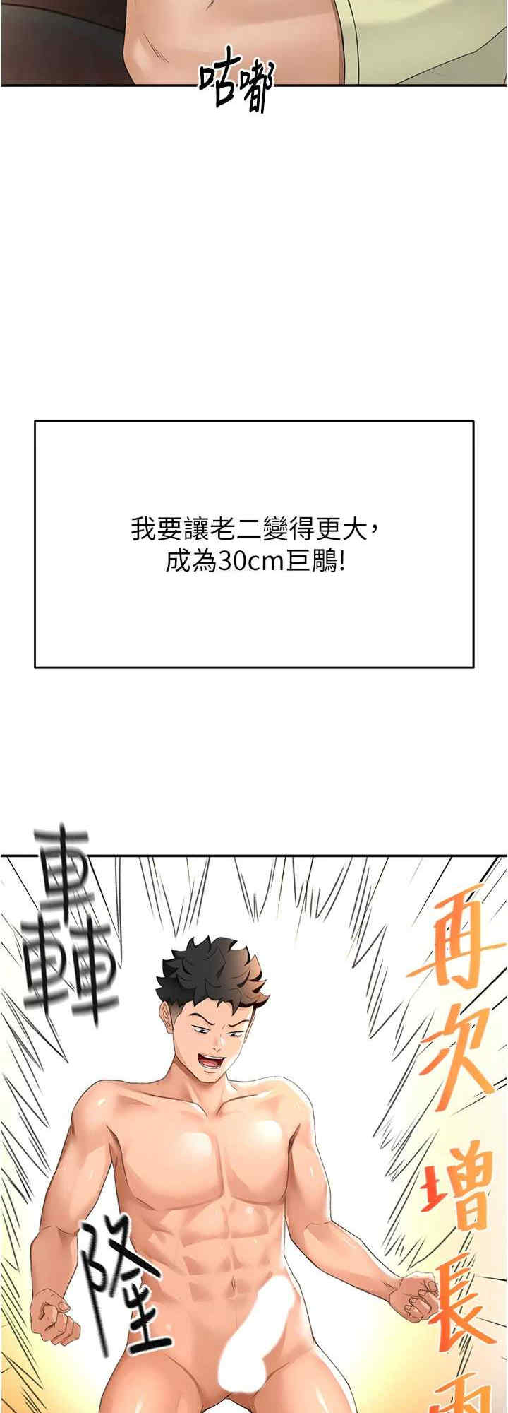 顶加套房的春天