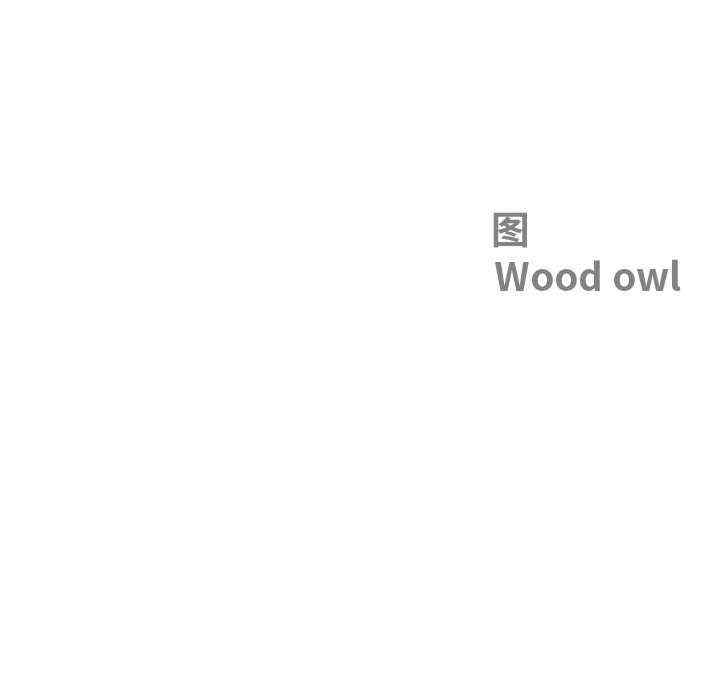 最强男人/天降奇迹