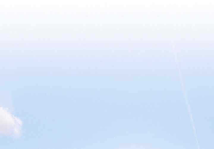 傻瓜病毒/傻傻病毒