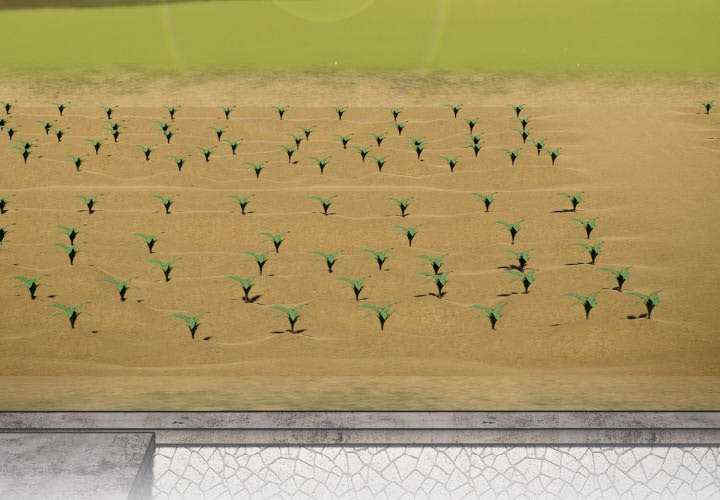 傻瓜病毒/傻傻病毒