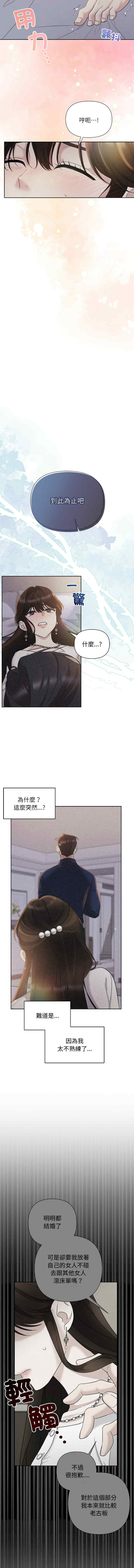 吞噬暗夜/被吞噬的夜