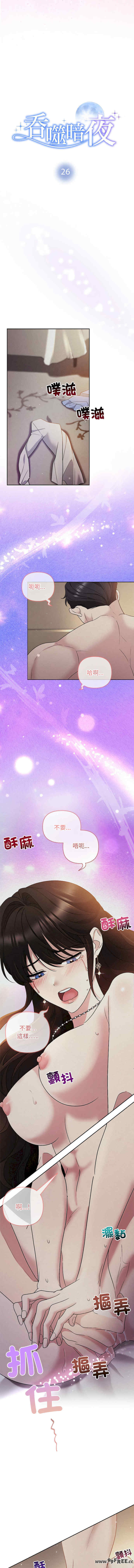 吞噬暗夜/被吞噬的夜