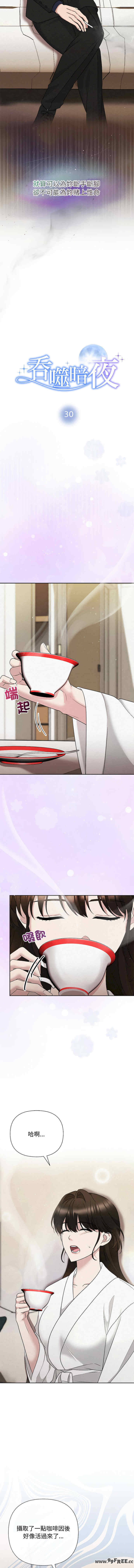 吞噬暗夜/被吞噬的夜