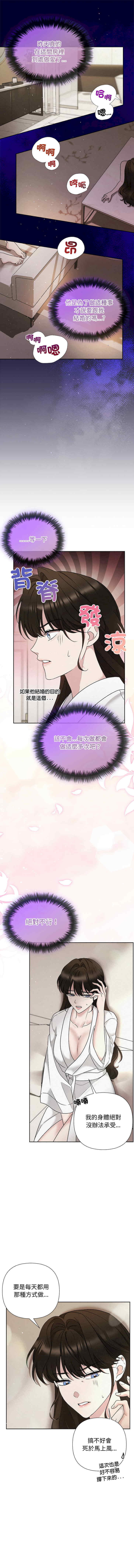 吞噬暗夜/被吞噬的夜