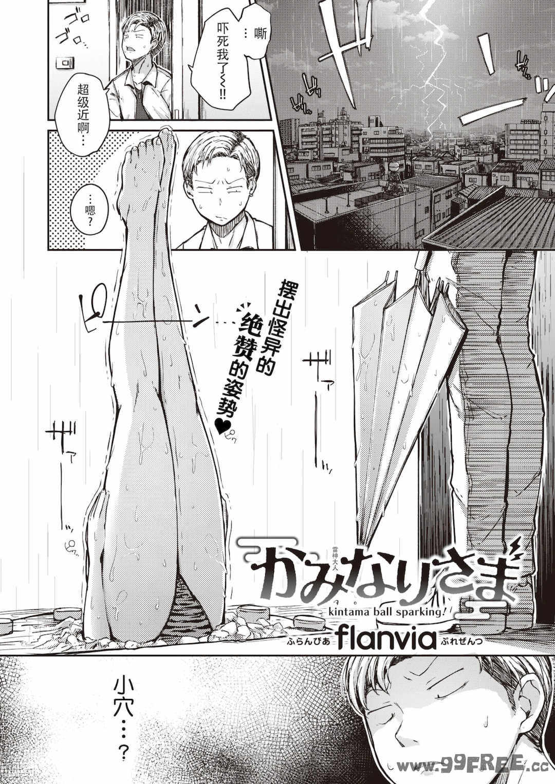 [flanvia] 僕んちの肉穴
