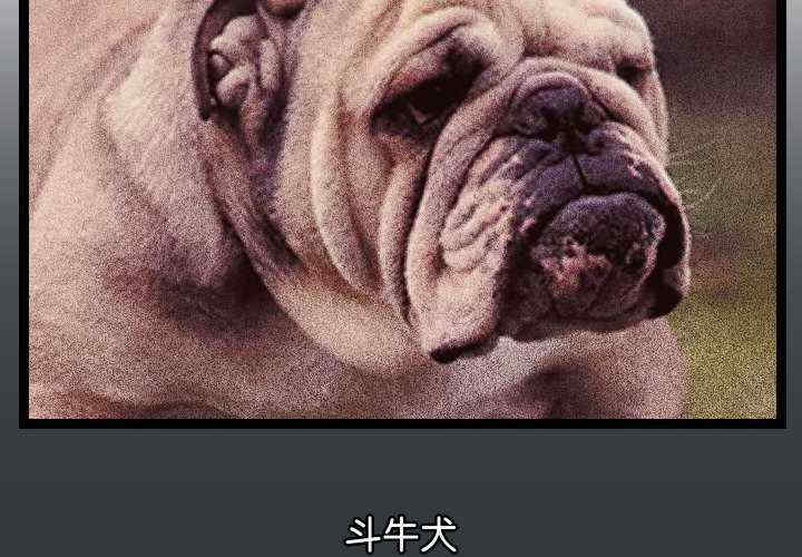 分身使我无限变强/分身术让我每天加倍变强