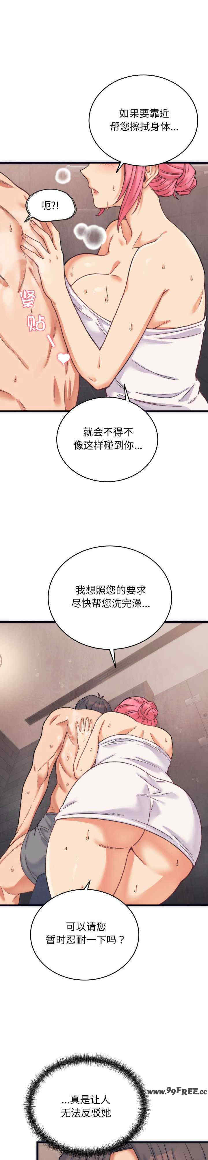 少爷的替身