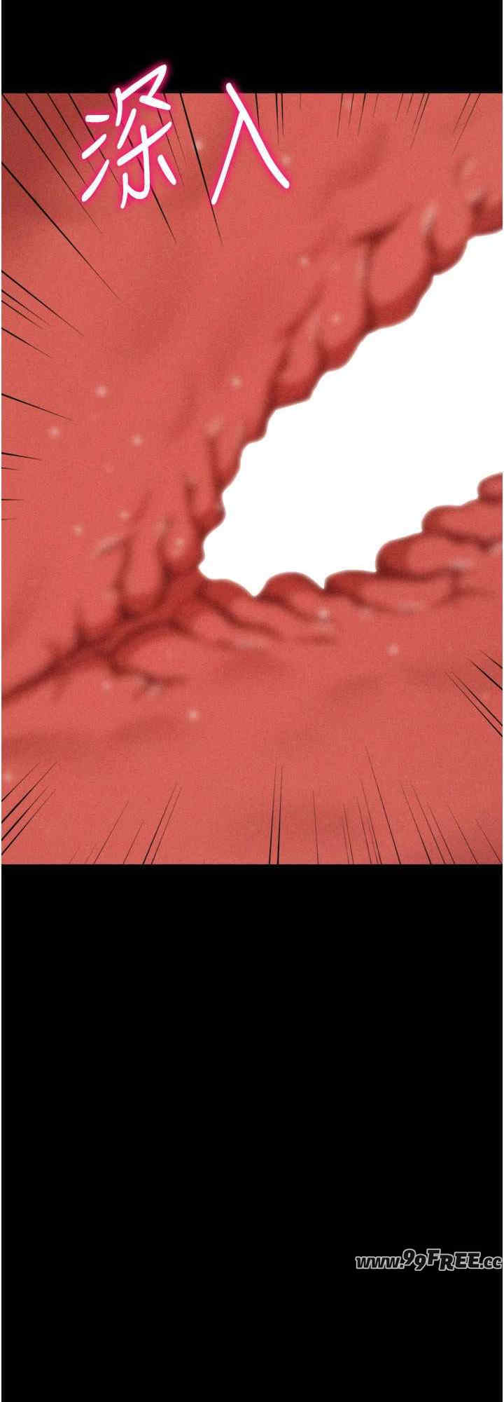 选手村:母猪调教