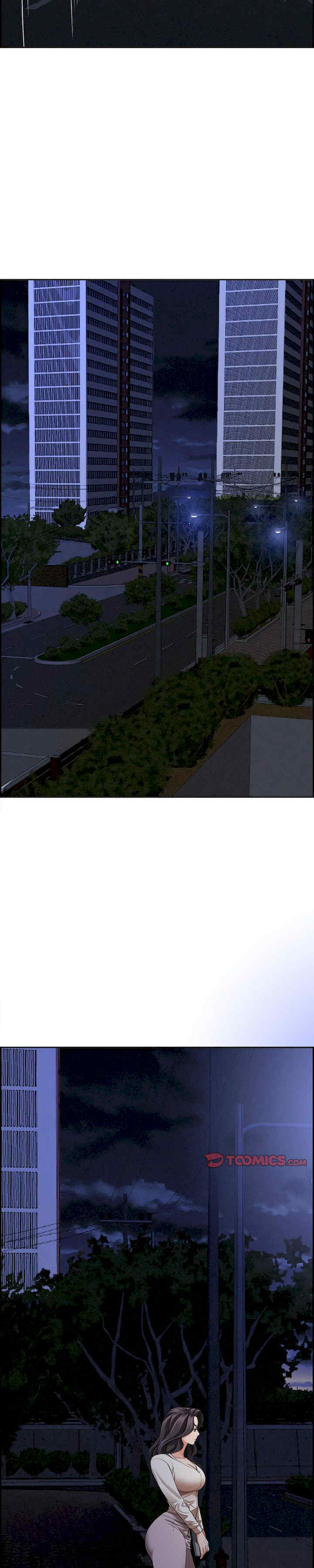 贵妇的专属保镖