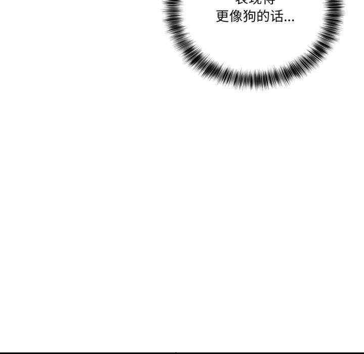 当狗不丢人/不如当条狗