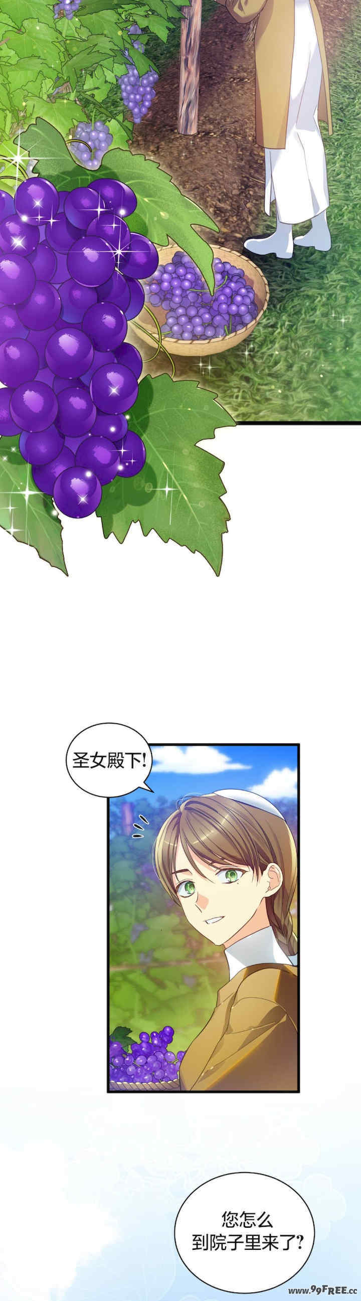 卡于墙中的圣女殿下