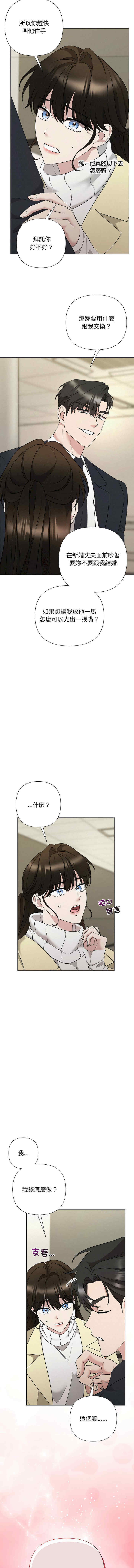 吞噬暗夜/被吞噬的夜