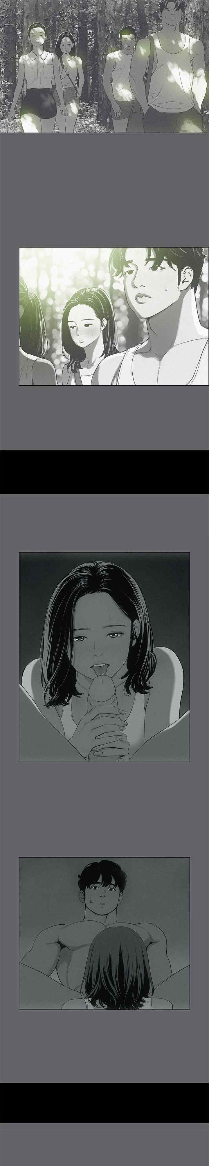 纵夏夜之梦(无码版)