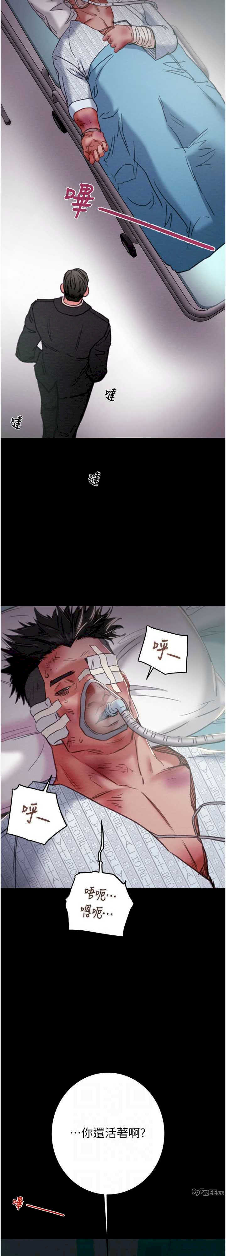 掠夺行动/抢夺的滋味