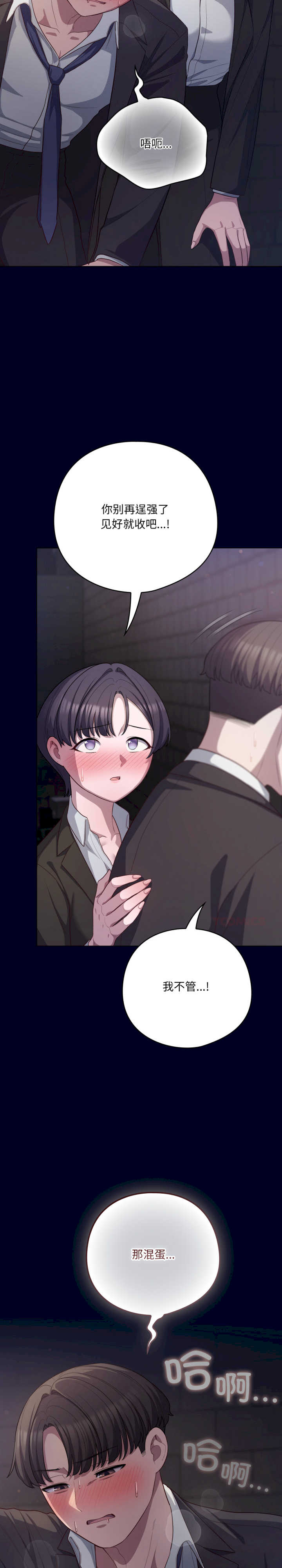 猫猫牵红线/喵来的恋爱