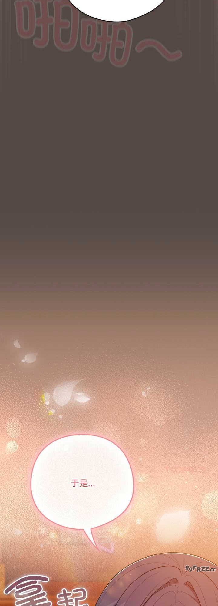 猫猫牵红线/喵来的恋爱