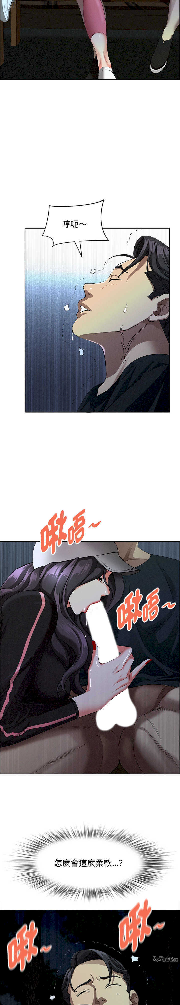 贵妇的专属保镖