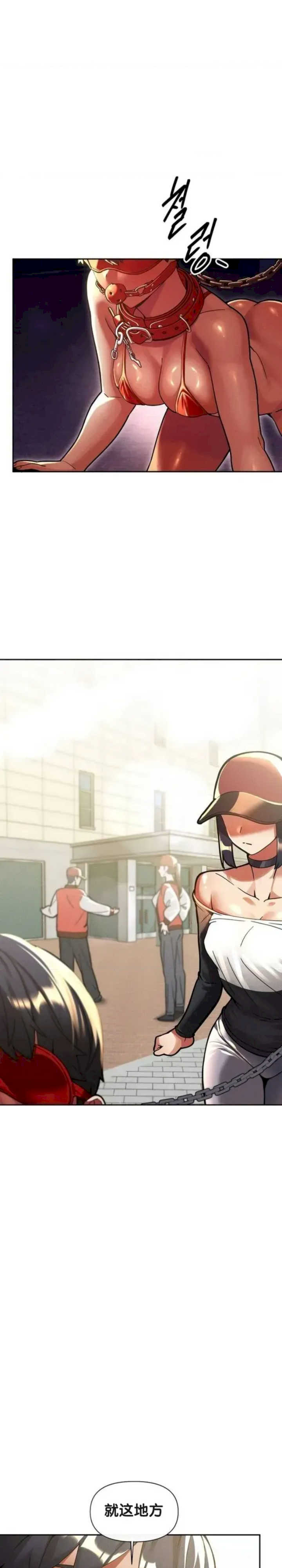 69大学求生手册